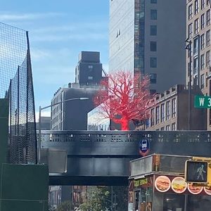 Meet your Posher, Eurie